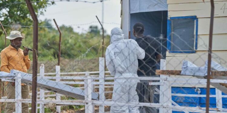 OMS alerta que ébola se expande en El Congo: ‘Se desconoce su verdadera magnitud’