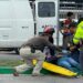Motociclista resulta gravemente herido tras choque en Himno Nacional