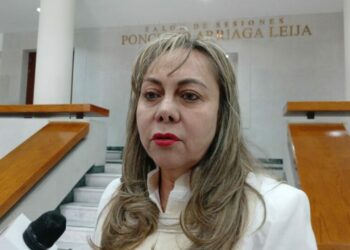 Sara Rocha descarta dejar Comisión Especial de Periodistas