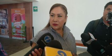 VIDEO | Preocupa tala ilegal en la zona media
