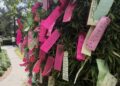 Se realizó el Festival Tanabata en el Jardín Japonés del Tangamanga