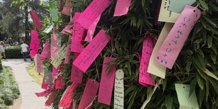 Se realizó el Festival Tanabata en el Jardín Japonés del Tangamanga