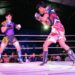 Peleas Vale Todo el 15 de agosto en San Luis Potosí