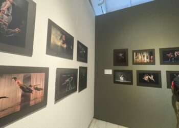 VIDEO | Inauguran la exposición “Miradas en movimiento” en el MAC