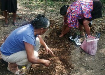 Reconocen a seis portadores de conocimientos tradicionales en San Luis Potosí