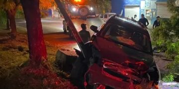Camioneta choca contra poste y árbol; conductor abandona la unidad