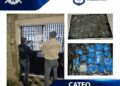 Aseguran más de 500 dosis de presunta droga durante cateo en inmueble de Matehuala