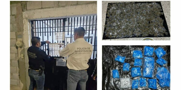 Aseguran más de 500 dosis de presunta droga durante cateo en inmueble de Matehuala