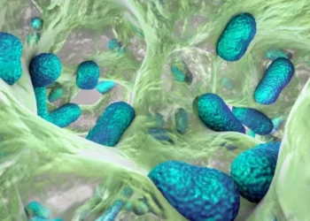 UNAM advierte que bacteria peligrosa para los humanos se aloja en animales, agua y alimentos