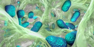 UNAM advierte que bacteria peligrosa para los humanos se aloja en animales, agua y alimentos
