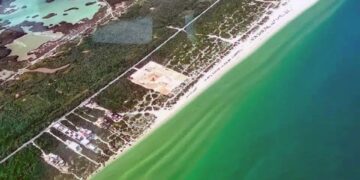 Clausuran Las Dunas, la construcción que amenazaba a las tortugas y los manglares de Chuburná Puerto