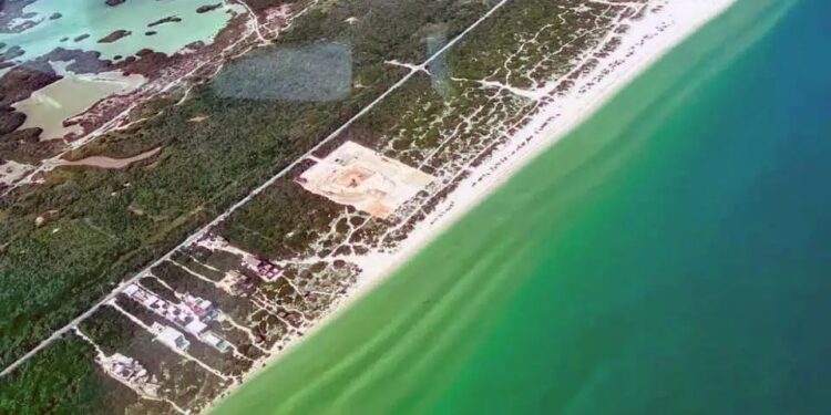 Clausuran Las Dunas, la construcción que amenazaba a las tortugas y los manglares de Chuburná Puerto