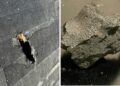 Meteorito que cayó en casa de EE.UU. revela datos sobre componentes fuera de la Tierra para la vida