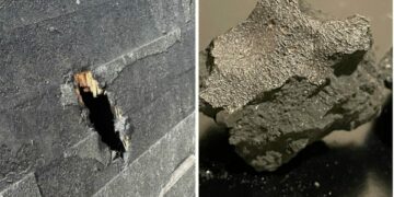 Meteorito que cayó en casa de EE.UU. revela datos sobre componentes fuera de la Tierra para la vida