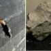 Meteorito que cayó en casa de EE.UU. revela datos sobre componentes fuera de la Tierra para la vida
