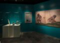 Exposición revisa la práctica del juego de pelota en Tenochtitlan