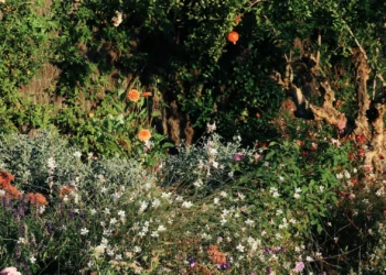 Jardines mediterráneos: El estilo que está despidiendo al pasto para siempre