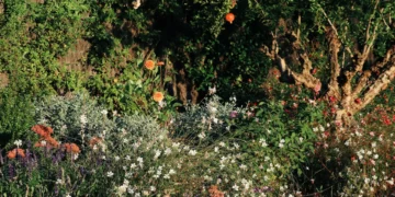 Jardines mediterráneos: El estilo que está despidiendo al pasto para siempre