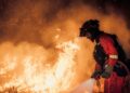 VIDEOS | Olas de calor provocan cientos de incendios forestales en Francia, Italia y España