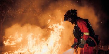 VIDEOS | Olas de calor provocan cientos de incendios forestales en Francia, Italia y España