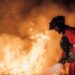 VIDEOS | Olas de calor provocan cientos de incendios forestales en Francia, Italia y España