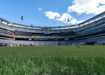 ¿Quieres un recuerdo de la final del Mundial? FIFA pone a la venta el césped