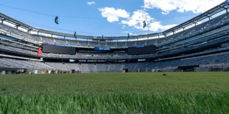 ¿Quieres un recuerdo de la final del Mundial? FIFA pone a la venta el césped