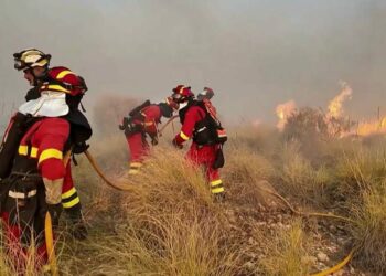 Van 11 muertos por incendio forestal en España; víctimas intentaban huir