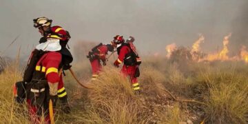 Van 11 muertos por incendio forestal en España; víctimas intentaban huir