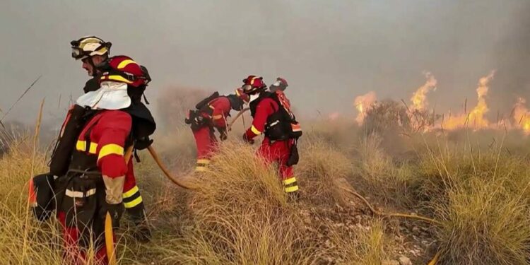 Van 11 muertos por incendio forestal en España; víctimas intentaban huir
