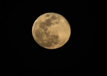 La NASA alerta del riesgo de que los microbios humanos contaminen el polo sur de la Luna