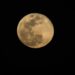 La NASA alerta del riesgo de que los microbios humanos contaminen el polo sur de la Luna