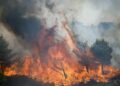 Atenas sigue bajo amenaza por incendios forestales