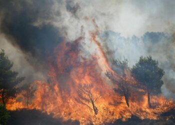 Atenas sigue bajo amenaza por incendios forestales