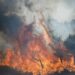 Atenas sigue bajo amenaza por incendios forestales