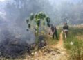 Incendio en predio de Ciudad Valles moviliza a cuerpos de emergencia