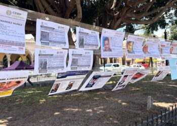 VIDEO | “¿Dónde están?” Familias de desaparecidos vuelven a exigir respuestas