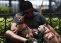 UNAM revela cuáles son las tres razas mexicanas de perros