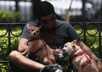 UNAM revela cuáles son las tres razas mexicanas de perros