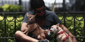 UNAM revela cuáles son las tres razas mexicanas de perros