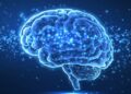 Tres hábitos cotidianos que pueden elevar el riesgo de un accidente cerebrovascular, según cardiólogos