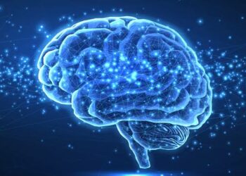 Tres hábitos cotidianos que pueden elevar el riesgo de un accidente cerebrovascular, según cardiólogos