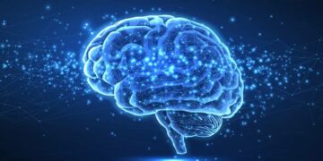 Tres hábitos cotidianos que pueden elevar el riesgo de un accidente cerebrovascular, según cardiólogos