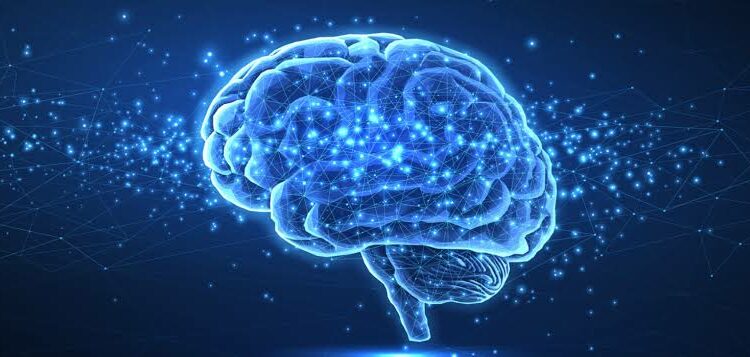 Tres hábitos cotidianos que pueden elevar el riesgo de un accidente cerebrovascular, según cardiólogos