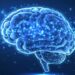 Tres hábitos cotidianos que pueden elevar el riesgo de un accidente cerebrovascular, según cardiólogos