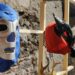 Del ritual a la cuadrilátero, las máscaras que transforman la realidad
