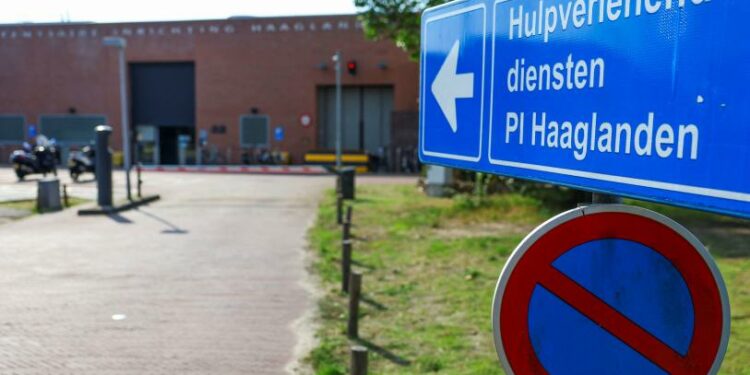 Un muerto y varios heridos: tiroteo en Países Bajos conmociona zona residencial