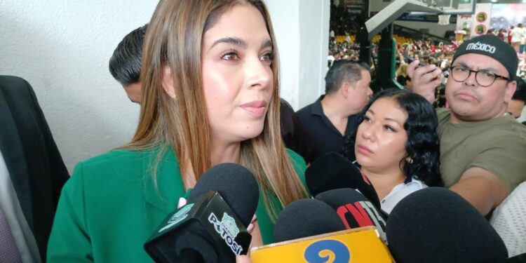 VIDEO | En el PVEM somo familia, no contendientes: Ruth González