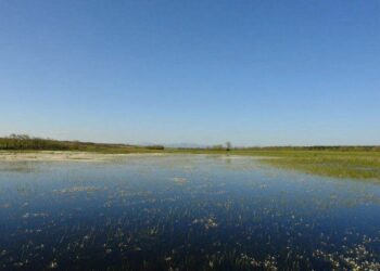 Alcalde de Ciudad Valles advierte sobre los riesgos ambientales ante posible proyecto para llevar agua a Nuevo León