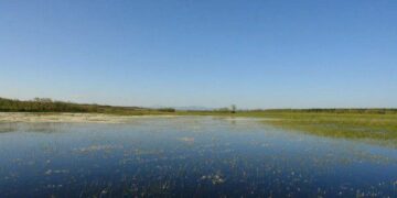Alcalde de Ciudad Valles advierte sobre los riesgos ambientales ante posible proyecto para llevar agua a Nuevo León